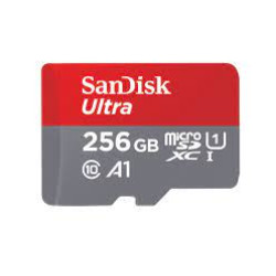 256 GB SD kart