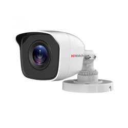 Analog kamera DS-T110